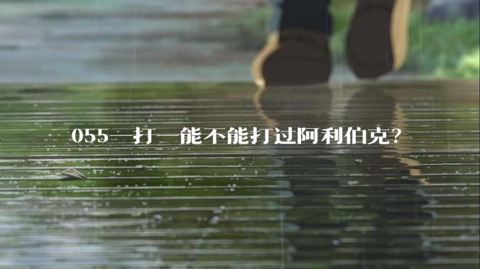055一打一能不能打过阿利伯克？