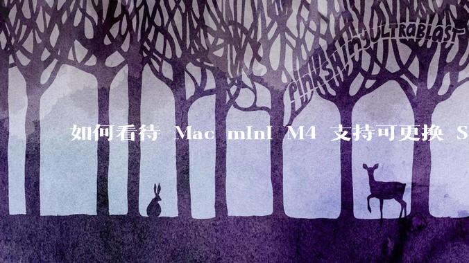如何看待 Mac mini M4 支持可更换 SSD？