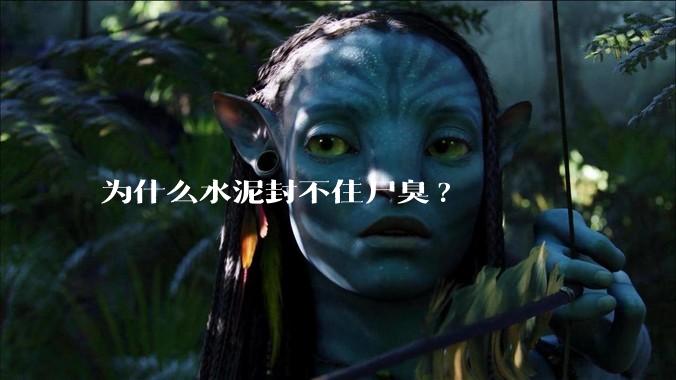 为什么水泥封不住尸臭?