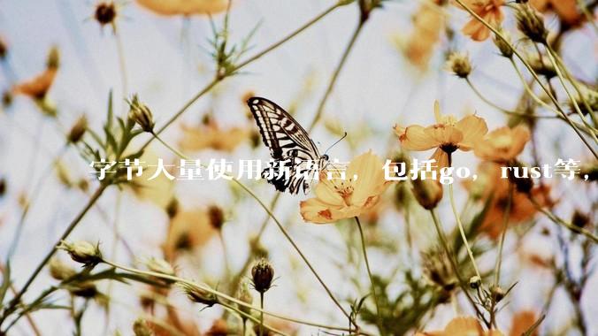字节大量使用新语言，包括go，rust等，为什么阿里一直都抱着j***a不松手？